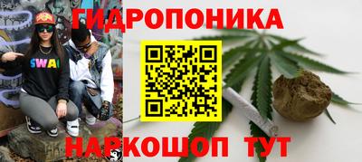 кокс Ярославль