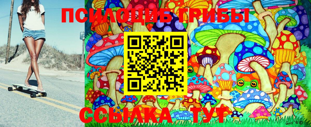 Псилоцибиновые грибы Psilocybine cubensis Братск