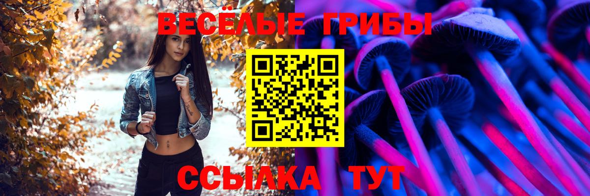 Братск  Галлюциногенные грибы мицелий  Вход с VPN 